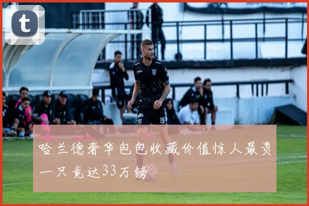 哈兰德奢华包包收藏价值惊人最贵一只竟达33万镑
