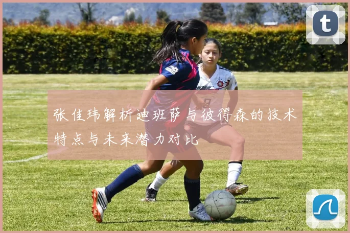 张佳玮解析迪班萨与彼得森的技术特点与未来潜力对比